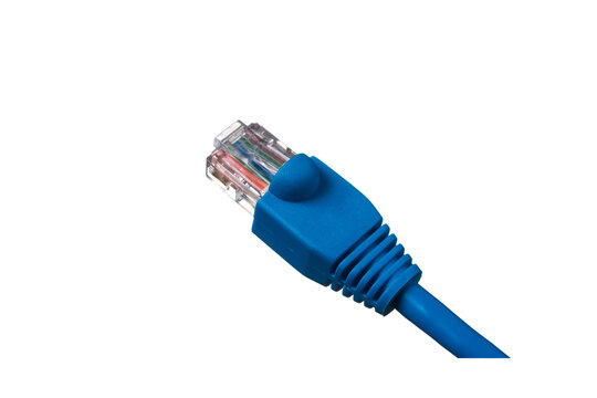 Close-up of a blue ethernet network cable connector with visible wires on a white background lan cable technology
