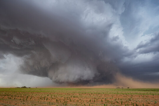 Monster Wedge Tornado over farmland near Morton texas