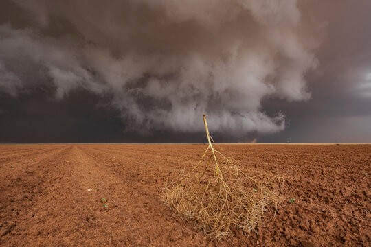 Tumbleweed under dark Mesocyclone storm cloud in texas field