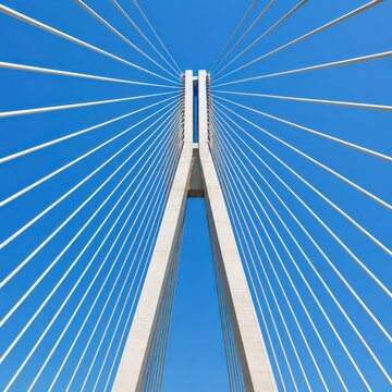 View of fanned suspension cables of a bridge converging towards a single tower under a bright clear sky