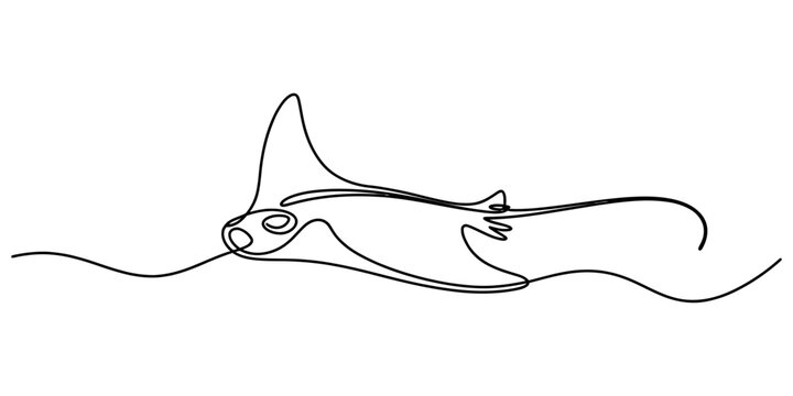 Continuous line art manta ray swimming ocean animal black minimalist stroke vector for marine life and aquatic wildlife.