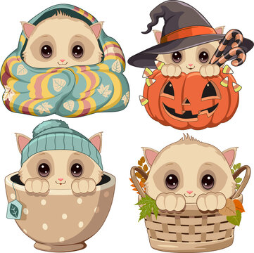 Cute Autumn Kitten Kawaii Style with Cozy Blanket, Pumpkin, Teacup and Basket, Set of 4 Adorable Halloween PNG Elements
