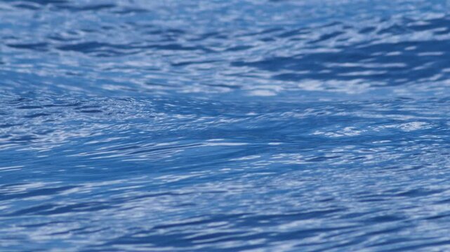 Close-up of rolling blue ocean wave with white foam crest, deep sea texture in motion, dynamic seascape footage of breaking waves