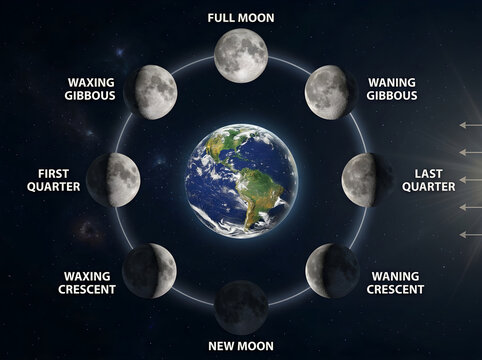 Moon phases illustration around earth