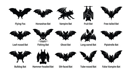 Fototapeta premium Collection of Bat Silhouettes: A diverse array of bat species depicted as black silhouettes, showcasing their unique shapes and wing structures. Perfect for educational or Halloween-themed designs.