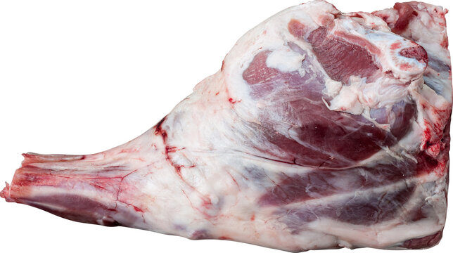 Lamb Leg Image Without Background