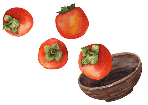 Persimmons with green calyxes and a wooden bowl in watercolor. Autumn fruit composition for food packaging, recipes, menus, kitchen decor, market graphics and seasonal design