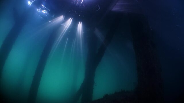 Underwater shot under Swanage Pier with shoals of small fish swimming amongst the piling with sunlight filtering down 