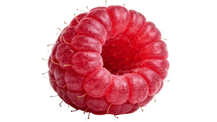 Single ripe red raspberry with tiny hairs, isolated on transparent background © STUDIOP