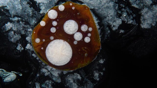 An amber-colored drop with white bubbles and spots, an abstract concept of the development of a new form of life.
