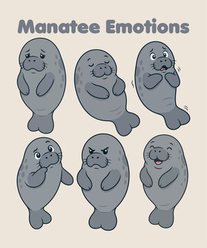 Playful manatee emotions t-shirt design