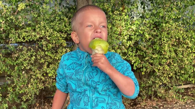 A cute little boy eats a green apple in front of lush green bushes. He enjoys his tasty snack happily. His joyful and carefree moment feels peaceful and cozy.