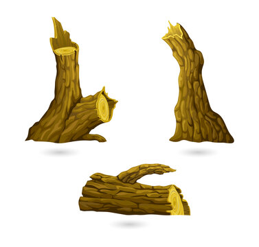 tree stumps in various positions transparent background