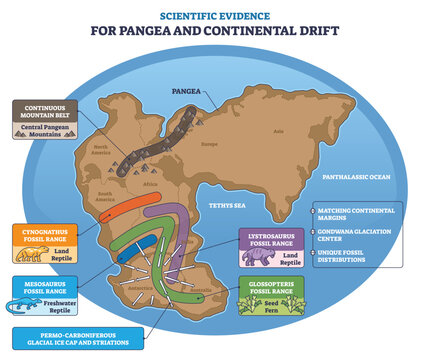 Pangea and continental drift evidence shown on a map with fossil ranges, matching coastlines, and glacial paths, main objects, Pangea supercontinent, fossil ranges, mountain belt. Outline diagram