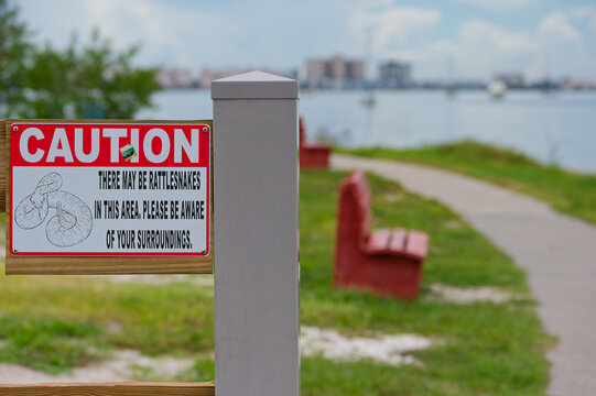 Warning sign alerting visitors to possible rattlesnakes along a waterfront park path in Gulfport, Florida with red benches and blurred city skyline in the background, conveying caution and outdoor saf