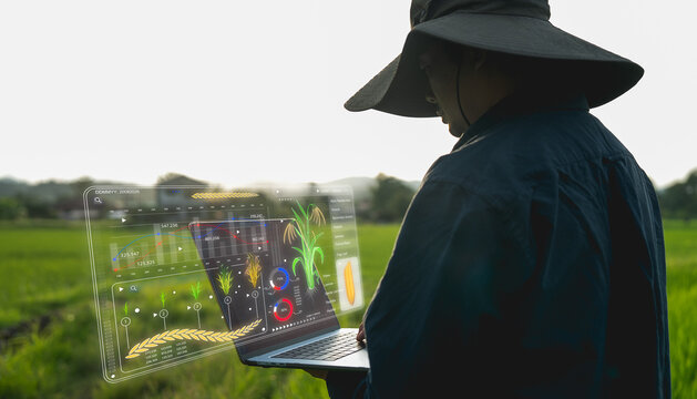 Farmer uses laptop with augmented reality to monitor crop data in field, showcasing modern agricultural technology