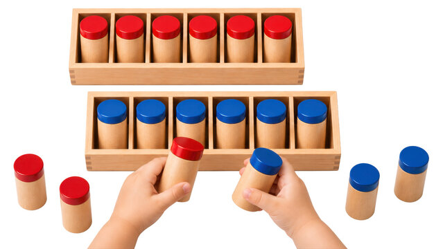 Montessori sound cylinders, hands pairing wood shakers with red and blue lids, no branding isolated. Montessori sensory aid isolated on white background.