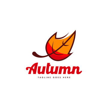 Autumn leaf logo design template
