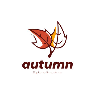 Autumn leaf logo design template