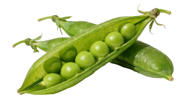 Fresh green pea pods with round seeds, isolated on transparent background