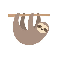 Fototapeta premium Cute sloth hanging on a tree branch isolated on white background. Flat vector illustration of sleeping wild animal character.