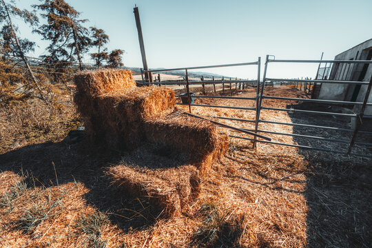 Golden straw bales stacked beside an empty livestock enclosure with metal gates, scattered hay and weathered farm buildings in warm sunlight under a clear rural sky