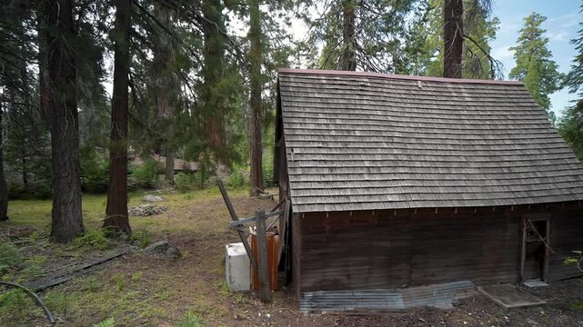 The cabin where John Muir lived for a year is surrounded by giant Sequoia trees in the forest while he wrote his journals.