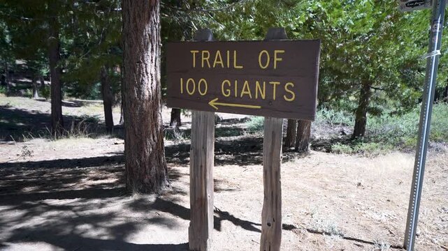 Signs indicate the Trail of Giants in Sequoia National Park, California, showcasing directions and information about the area.