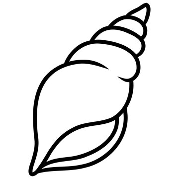 Seashell Ocean Animal Icon
