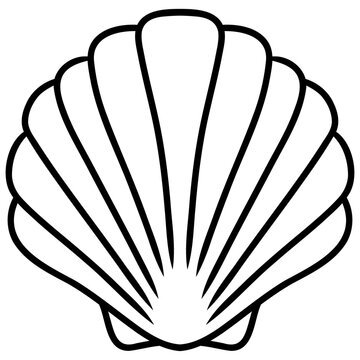 sea oyster vector illustration