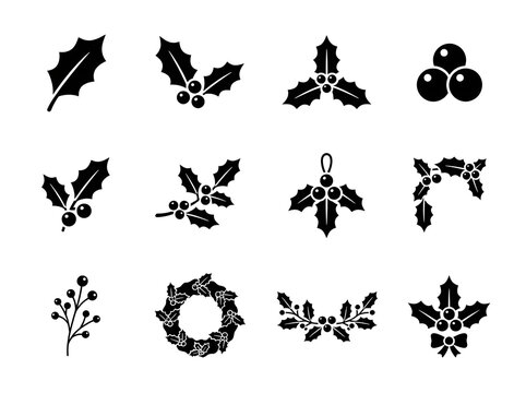 A delightful collection of festive holly illustrations perfect for christmas designs seasonal greetings and winter themed projects offering a classic touch