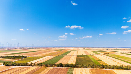 Obraz premium Agricultural field mosaic with a distant wind farm. An elevated view shows tan and green strips divided by trees beneath a blue sky with scattered clouds.