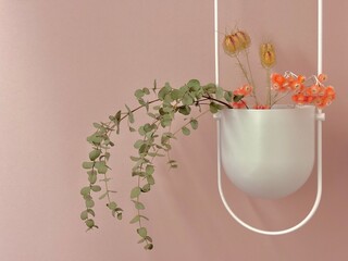 Minimal wall planter with eucalyptus and dried flowers on a pink background © RADIUS Visuals