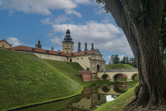 A view of Nesvizh Castle, the bridge, and the moat with water seen from behind a tree.