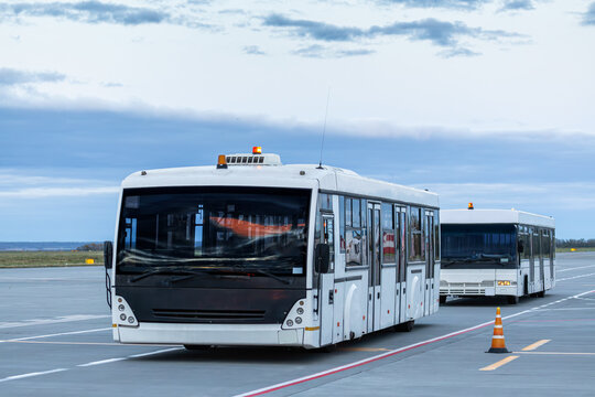 Two airport shuttle bus in the evening