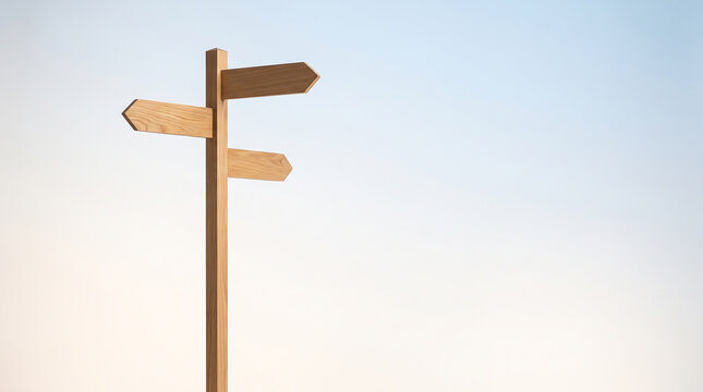 Oak signpost with three blank arrows against a pale sky