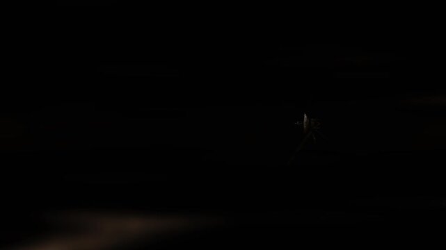 Voyager in space. 3d animation