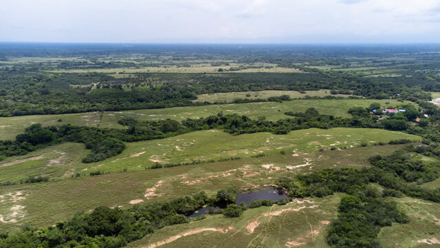 Top view drone of grass and forest area clouddy day , Tolima, Colombia 4k