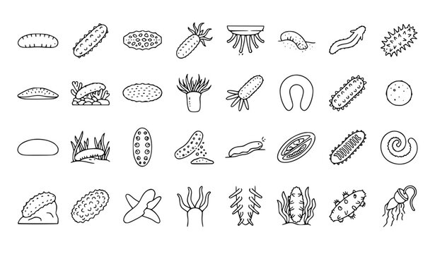 Sea Cucumber Marine Life Ocean Seabed Echinoderm Tentacle Tube Feet and Underwater Outline Icons Set &ndash; Editable Vector