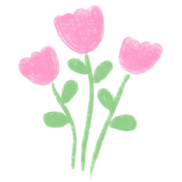 Hand drawn pink tulip drawing