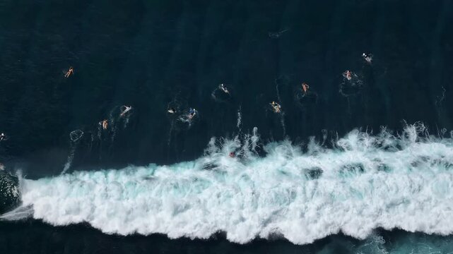 Active sport on the Bukit Peninsula coastline, Bali. Many surfers on boards and swimmers learn riding powerful deep blue waves and paddling near reefs in tropical seaside scene. Aerial view drone shot