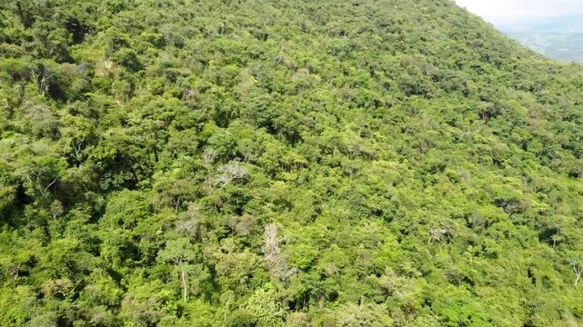 Aerial view drone of grass and forest in mountains area clouddy day , Tolima, Colombia 4k