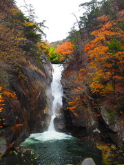 紅葉に彩られた仙娥滝 昇仙峡 縦構図 © GritAI