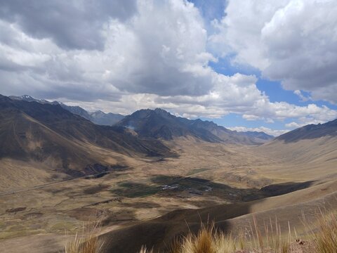 Wild yellow grass near mountains with a cloudy sky in the background, treeless landscape, Canas, Cusco, Peru.