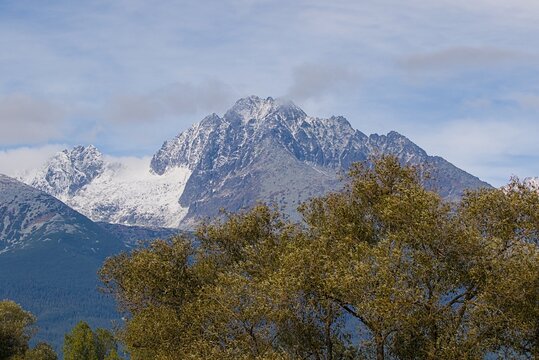 Majestic snow capped peak rises high above the green forest.