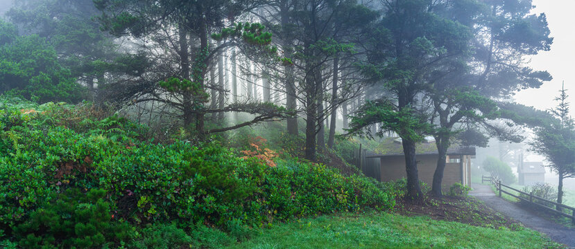 Beautiful wide panoramic view of a misty green forest with a hiking trail and a rustic wooden cabin at sunrise