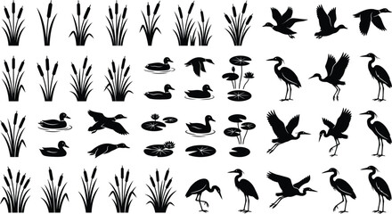 Fototapeta premium Wetland Birds Grass Waterfowl Silhouette Collection Nature Wildlife Icons Set