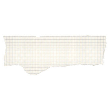 Blank Torn Grid Paper Piece with Ripped Edge Isolated on White
