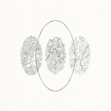Minimalist topographic line drawing with three oval map sections on a white background