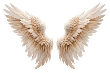 Obraz premium Elegant pair of white and beige angel wings on a white background.